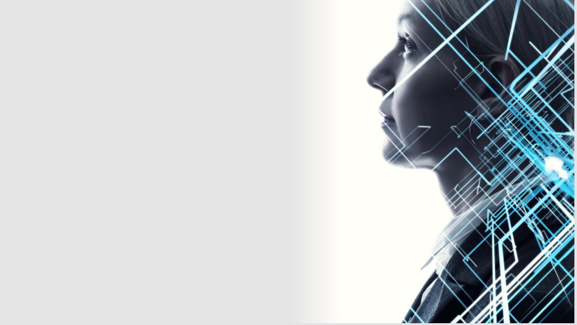Accompagnement stratégique PME industrielle